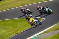 Middle Group Yellow Bikes